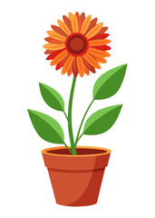 Fototapeta premium Illustration of orange flower in pot vector graphic design element for spring and summer decor