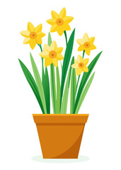 Illustration of yellow daffodils in pot for spring flower arrangements and floral designs ideas