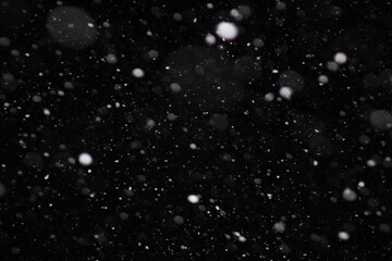 Snow on a black background. Snowflakes for overlay. Snow background.
