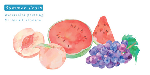 水彩で描いた夏のフルーツベクターイラスト