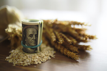 The concept of the cost of grain. 5000 ruble banknotes around a handful of ground grain. World...