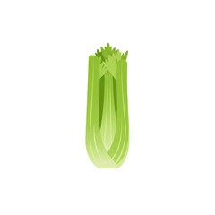 Fresh green celery stalk isolated on a white background, ideal for culinary use