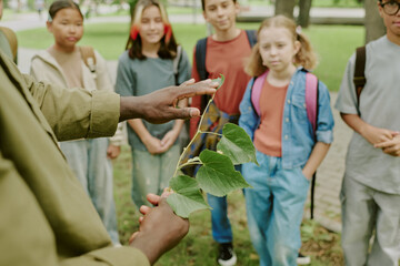 Multiethnic group of children standing outdoors in park listening to Black adult teacher explaining plant with green leaves during educational activity, backpacks visible on children