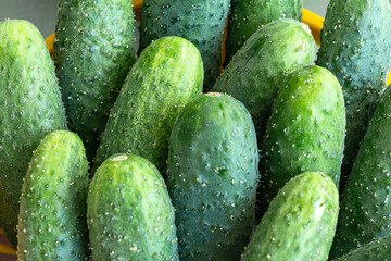 Fresh green cucumbers neatly arranged in colorful baskets at a local market. Crisp cucumbers displayed in baskets reflecting the essence of freshness and vitality.