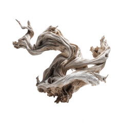 Fototapeta premium Elegant Organic Twisted Gnarled Tree Root Sculpture isolated On Transparent Png Background.