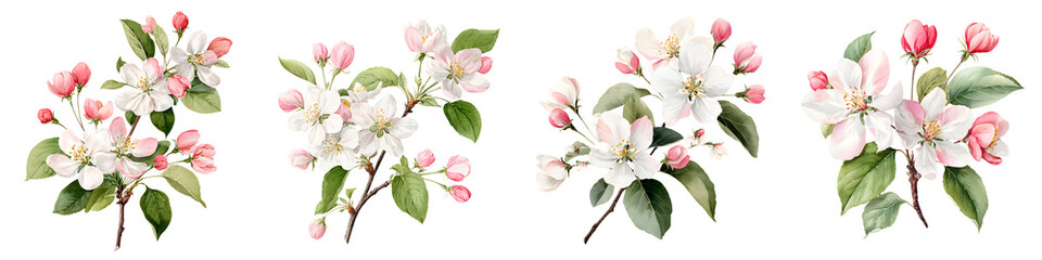 Fototapeta premium Blossom Set: Watercolor Spring Floral Illustration
