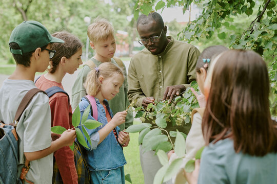 Black male teacher showing group of multiethnic children plants in park, children observing and interacting with leaves, outdoor educational activity, learning about nature together