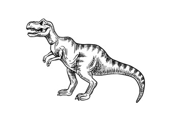 Hand drawn dinosaur T-rex illustration. Vector sketch isolated prehistoric animal on white background