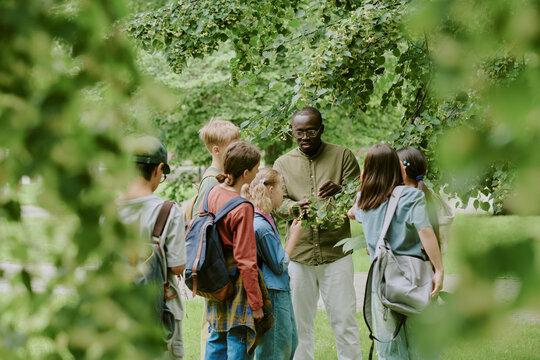 Black middle aged man teaching group of multiethnic children outdoors in park, children listening attentively and observing plants, backpacks visible, educational activity taking place
