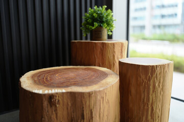Natural wooden tree stump side tables with a potted plant