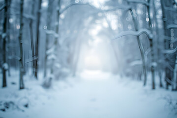 Serene Winter Wonderland: Magical Snowy Forest Path, Dreamy Cold Landscape, Blurred Background