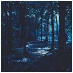 Fototapeta premium A twilight forest scene, bathed in deep blue hues, shows a path winding through tall, slender trees. The light is muted, casting long shadows on the forest floor