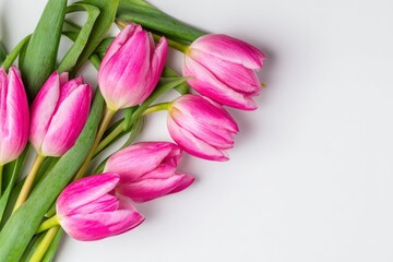 Fototapeta premium A cluster of pink tulips with green stems arranged on a white surface featuring closed blooms and clear details