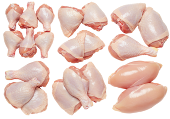 Fresh raw chicken parts (wings, drumsticks, thighs, breast) with vibrant natural colors and a subtle moisture sheen, meticulously arranged on a transparent seamless studio background from a top-down