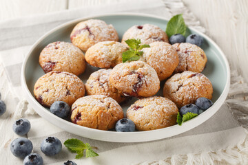 Berry chewy cookies with blueberries sprinkled with powdered sugar close-up in a plate. horizontal