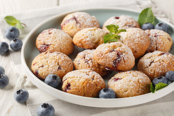 soft blueberry cookies made with fresh blueberries and flavored with lemon extract closeup in the bowl on the table. Horizontal