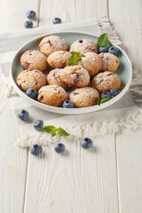 Vegetarian Blueberry Cookies sprinkled with powdered sugar closeup in the bowl on the table. Vertical