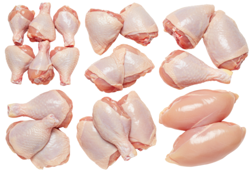 Fresh raw chicken parts (wings, drumsticks, thighs, breast) with vibrant natural colors and a subtle moisture sheen, meticulously arranged on a transparent seamless studio background from a top-down