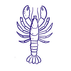  Homard simple ligne fine bleu