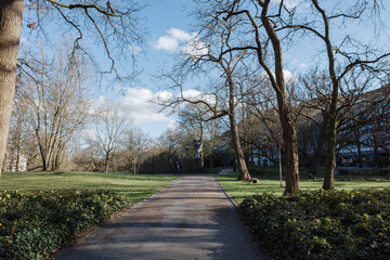 A peaceful walking path winds through the Wallanlagen park in Bremen, Germany, during a sunny day in early spring or late autumn.