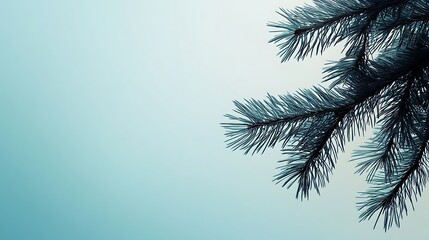 Obraz premium Ultra thin pine needle resembling a tick mark on white