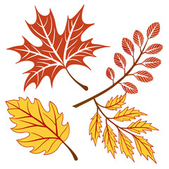 A collection of stylized autumn leaves in warm red and yellow colors featuring maple and oak leaf shapes and a branch with smaller leaves all isolated on a white background