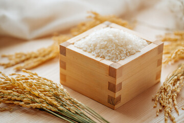 枡に入れた新米と稲穂