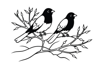 Birds Perched On Snow Covered Branch