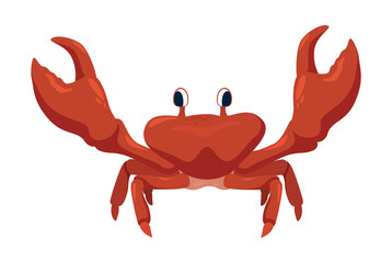 Vector illustration of a bright red crab on a clean white background, demonstrating the detailed features of this marine animal and its natural coloring.