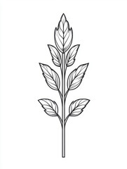 Outlined botanical illustration of a plant with multiple leaves.