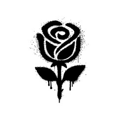 Black rose with paint drip effect with graffiti art