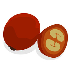 Vector illustration of whole coffee fruit and coffee bean pieces