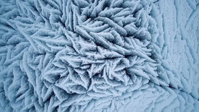 Frozen Fractal