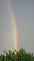 Bright Rainbow in evening stormy sky