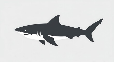 Obraz premium Stylized grayscale illustration of a great white shark, swimming, side profile view.