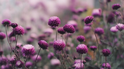 Fototapeta premium A retro purple flower garden, elegant and refined