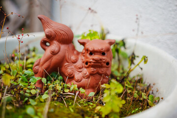 プランターに置かれたかわいいシーサー