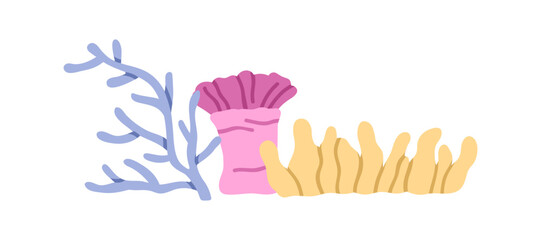 Coral reef, underwater tropical marine sea plants. Ocean nature, exotic fauna, flora. Aquatic under water undersea decoration, summer decor. Flat vector illustration isolated on white background