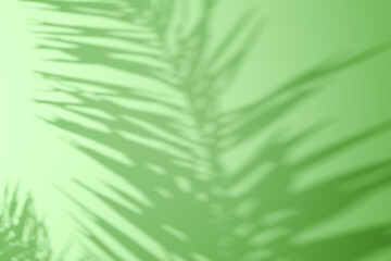 Fototapeta premium Soft shadow of tropical palm leaves on a green background. Minimalistic natural aesthetic, perfect for skincare, wellness, eco-friendly, or summer-themed concepts.