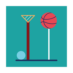 Netball goal