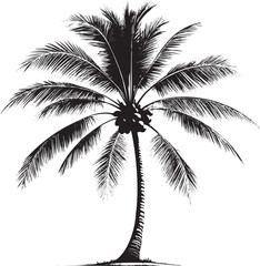 Black palm tree with coconuts black and white tropical