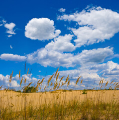 wide sandy prairie under blue cloudy sky