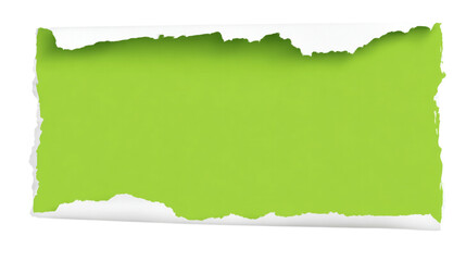 Fototapeta premium Torn green paper piece with rough edges isolated on transparent background