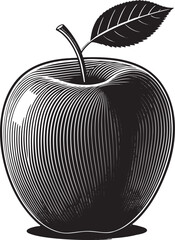 Engraved Apple With Leaf fruit stem