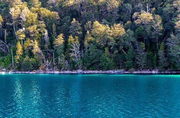 Obraz premium Sailing the Nahuel Huapi from Bahia Mansa to the Arrayanes Forest, Villa la Angostura, Neuquen, Patagonia, Argentina