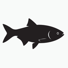 Stylized fish illustration with vibrant colors and clean lines