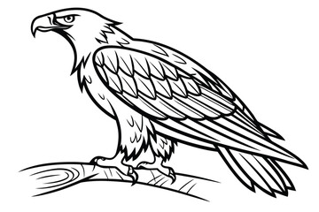 Fototapeta premium Eagle standing on a branch with detailed feathers, showcasing strength and elegance in a natural setting during daylight hours