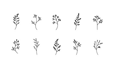 Botanical Branch Set . A decorative set of delicate hand-drawn branches with soft leaves, perfect for minimal nature-themed designs and organic compositions.