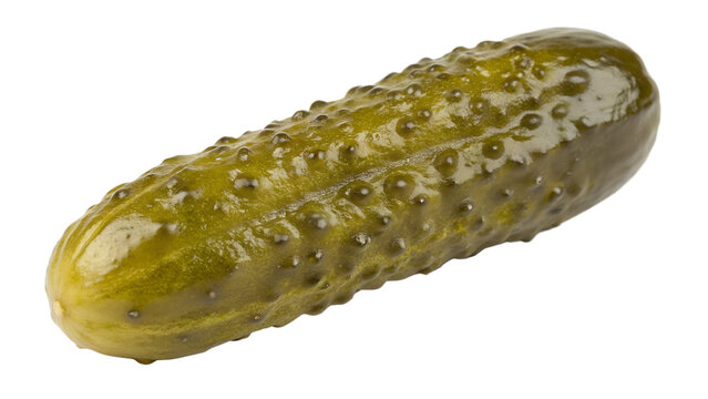 Dill pickle isolated on transparent background
