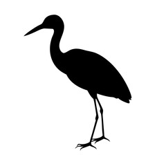 Obraz premium Buck bird Minimalist bird illustration, black outline, white background, long-necked wading bird, heron silhouette, simple curved lines, graphic design style, vector art, stylized wildlife icon, clean